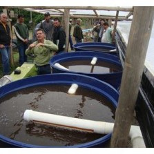 Semana do Fazendeiro,Epamig lança equipamento para reaproveitamento da água utilizada na cafeicultura
