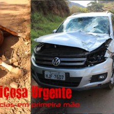 Charrete provoca acidente na Br120 em Teixeiras.