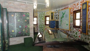 parque-estadual-da-serra-do-brigadeiro-conta-com-uma-area-de-extensao-de-14984-hectares_3 (1)