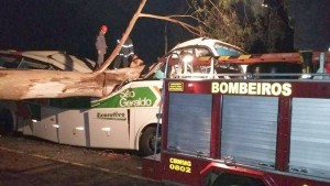 Arvore BUS Fabio (1)