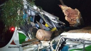 Arvore BUS Fabio (2)