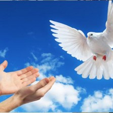 Paróquias de Viçosa celebram Ano da Paz