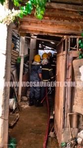 12596248_1028965307147418_1886278723_n