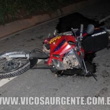 Polícia rodoviária estadual registra atropelamento fatal em Teixeiras