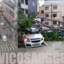 Árvore cai no Centro de Viçosa e atinge veículos