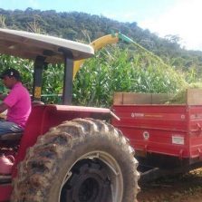 Produtor acompanhado pela Secretaria de Agropecuária bate recorde de produção de milho