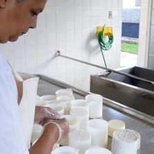 Estado reconhece importância das mulheres para fortalecer a agricultura familiar