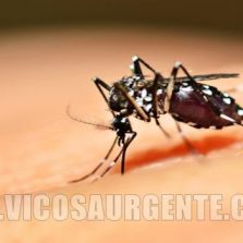 Jovem morre vítima de febre amarela em Canaã