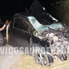 Animais na pista, provocam acidente na Br120 no trevo dos Cristais