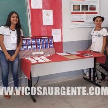 Projetos de escolas estaduais mineiras são destaques em feira científica da UFV