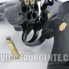 Comissão do Senado autoriza posse de arma de fogo por moradores da zona rural
