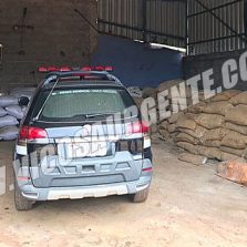 Polícia Civil de Viçosa recupera carga de café roubada avaliada em 50 mil reais