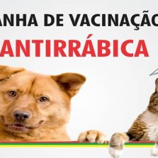 Vacinação antirrábica no sábado