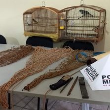 Polícia Militar do Meio Ambiente realiza operação em Ervália e Araponga