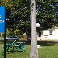 Museu da pinacoteca da UFV convida para Piquenique e Feira de Trocas neste sábado!