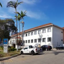 Decisão Judicial Obriga o Município de Viçosa a Combater o Aedes Aegypti