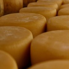 Queijo Minas Artesanal vira referência, está pronto para conquistar outros estados e muda a vida dos produtores
