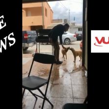 Vídeo que mostra homem esfaqueando cachorro não foi no Brasil