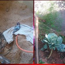Suspeitos são presos com arma e droga em Novo Silvestre