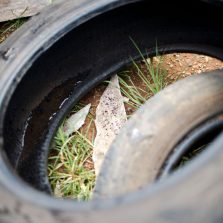 Quase mil cidades podem ter surto de dengue, zika e chikungunya