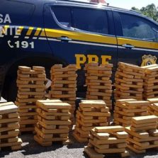 PRF prende casal com meia tonelada de maconha