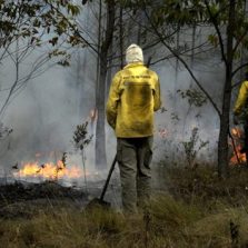 Aberta seleção de brigadistas para unidades de conservação