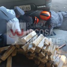 São Paulo: Polícia prende motorista com 100kg de maconha que abasteceria Viçosa/Muriaé