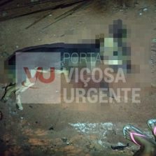 Mulher é detida após matar cão a machadada em Cajuri