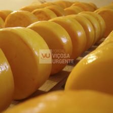 Estão abertas as inscrições para o Seminário dos Queijos Artesanais de Minas Gerais