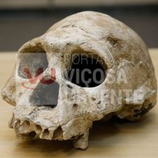 Descoberta de brasileiros pode mudar história da humanidade