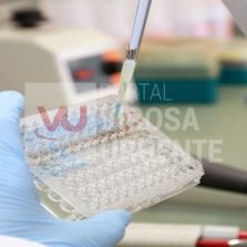 Vacina produzida pela UFV é patenteada na Rússia