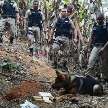Muriaé: PM apreende seis barras de maconha