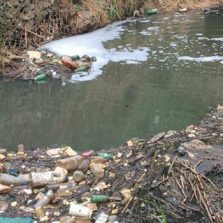 Polícia do Meio Ambiente: Saae Viçosa é autuado por poluição hídrica e estação de tratamento sem licença