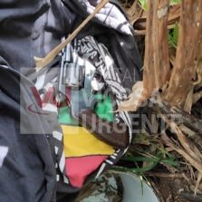 Irmãos detidos com arma em Ervália