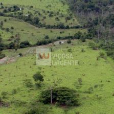 Começa hoje prazo para entrega da declaração de propriedade rural