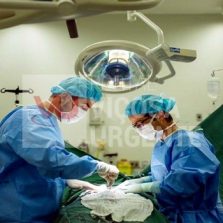 Brasil tem o maior sistema público de transplantes