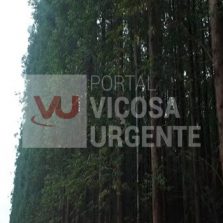 Triângulo Mineiro vai receber a maior empresa de celulose do mundo