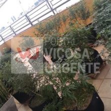 Belo Horizonte: Delegado é preso suspeito de tráfico de drogas