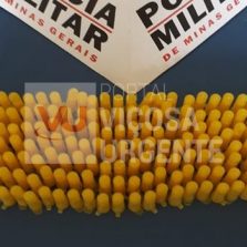 São Pedro dos Ferros: PM apreende 168 pinos de cocaína