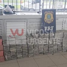 4,6 toneladas: PRF realiza a maior apreensão de maconha do ano