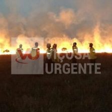 Detentos vão atuar no combate a incêndios florestais em Minas