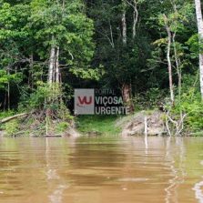 Capes deve liberar R$ 7 milhões para pesquisas na Amazônia Legal