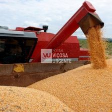 Riscos para dupla safra na Amazônia são mais um motivo para conservação da floresta