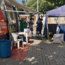 Cães e gatos são castrados em São Miguel do Anta