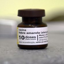 Saúde amplia público para vacinas contra febre amarela e gripe