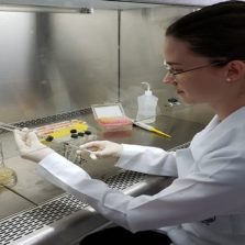 Pesquisadora descobre novo elemento genético envolvido na resistência a antibióticos entre bactérias