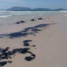 Óleo na praia de Cabo Frio não é compatível com substância do Nordeste