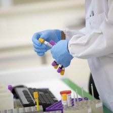 Brasileiros assinam convênio para desenvolver remédios contra malária