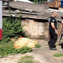 Ex-presidiário é morto a tiros, pauladas e pedradas em Teixeiras