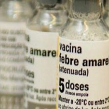 Estado reforça importância da vacina contra febre amarela